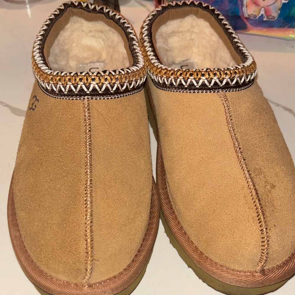 UGG Chestnut Suede woman’s shoes